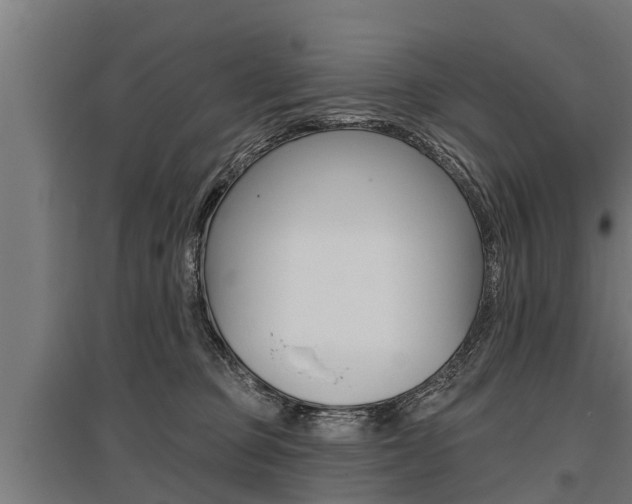 X0000096130373200801180834