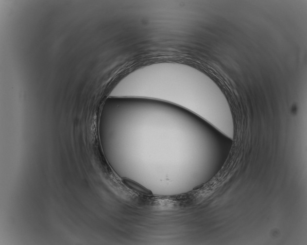X0000096130376200801180834