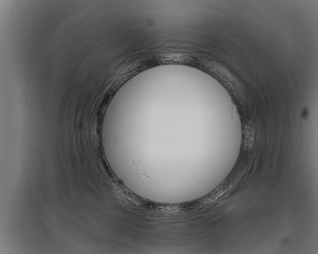 X0000096130377200801180834