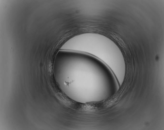 X0000096130380200801180834