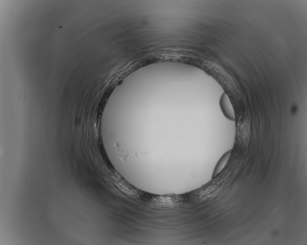 X0000096130381200801180834