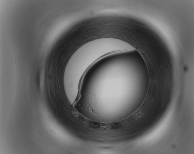 X0000096130382200801180834