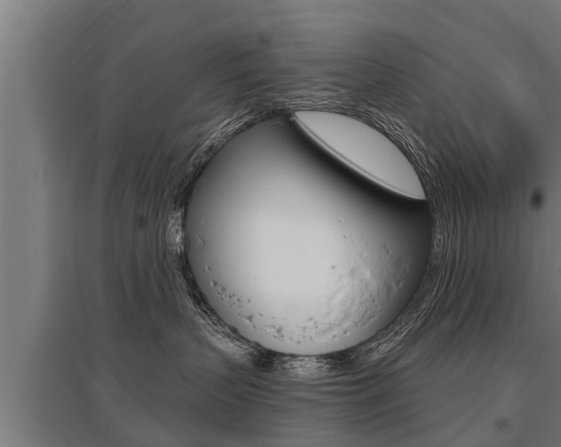 X0000096130383200801180834