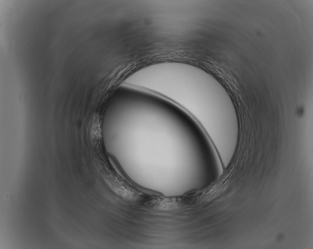 X0000096130384200801180834