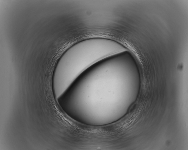 X0000096130385200801180834