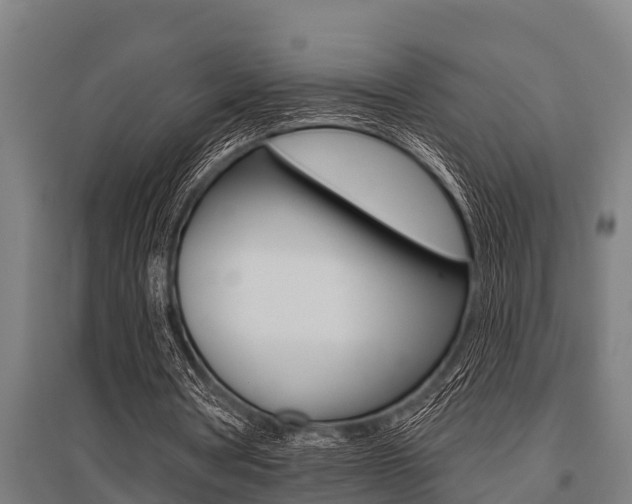 X0000096130386200801180834