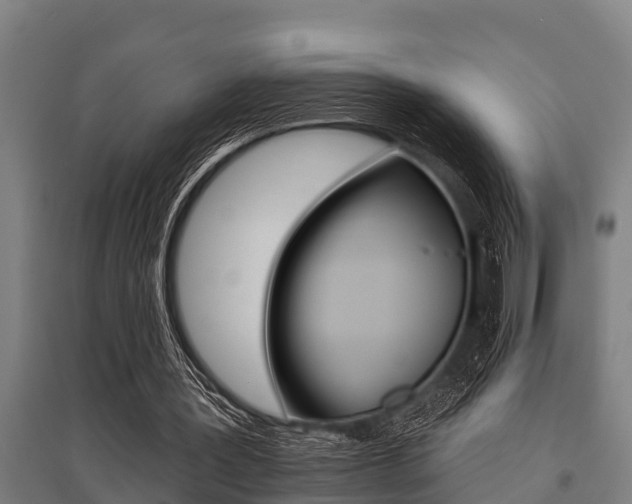 X0000096130387200801180834