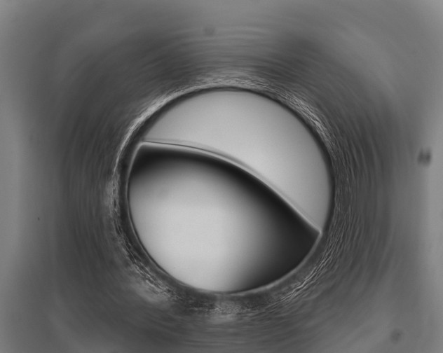 X0000096130388200801180834