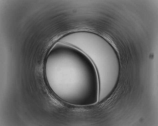 X0000096130389200801180834