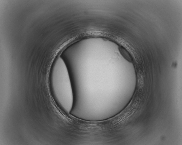 X0000096130390200801180834