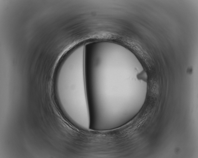 X0000096130392200801180834