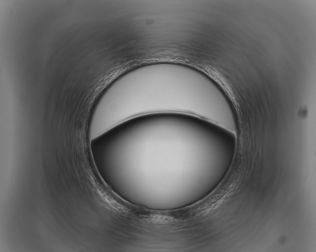 X0000096130393200801180834