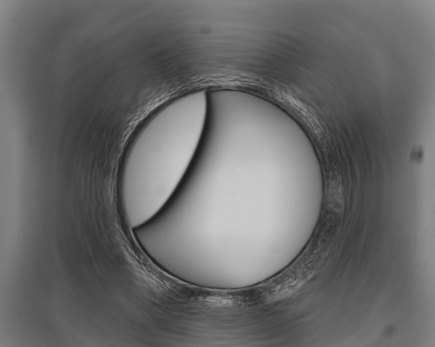 X0000096130394200801180834