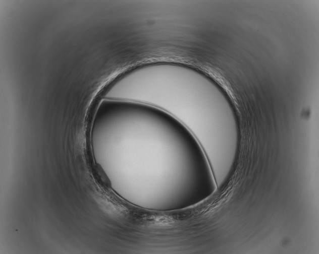 X0000096130395200801180834