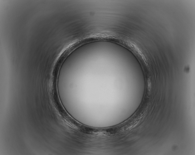 X0000096130396200801180834