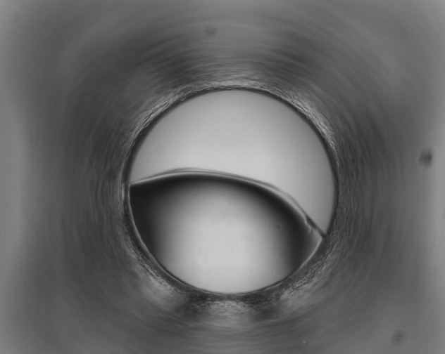X0000096130397200801180834