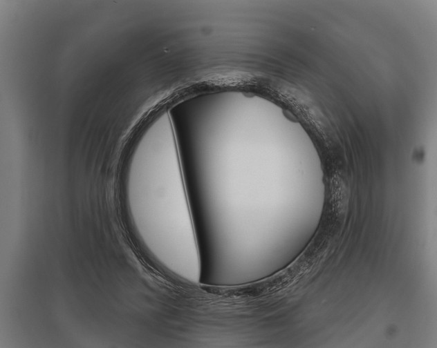 X0000096130400200801180834