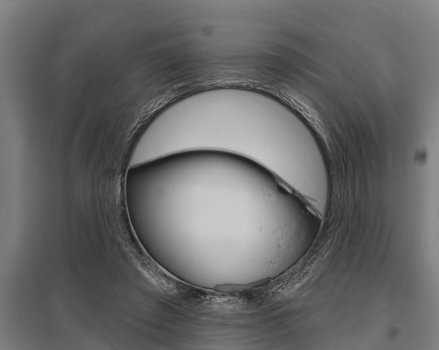 X0000096130401200801180834