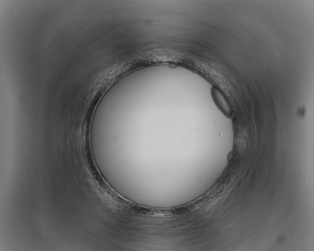 X0000096130402200801180834