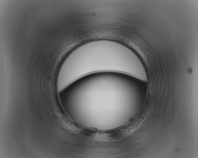 X0000096130403200801180834