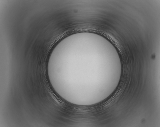 X0000096130405200801180834