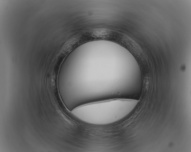 X0000096130408200801180834