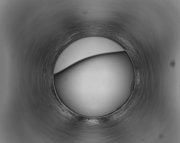 X0000096130409200801180834