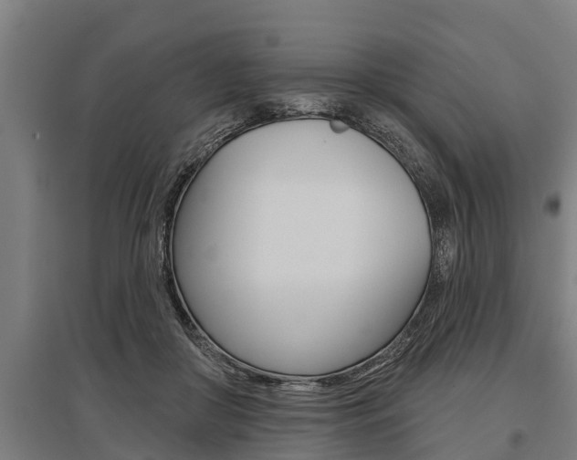 X0000096130410200801180833