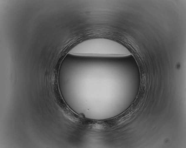 X0000096130412200801180833