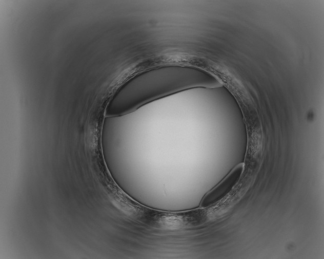 X0000096130413200801180833