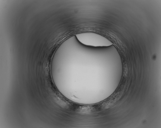 X0000096130414200801180833