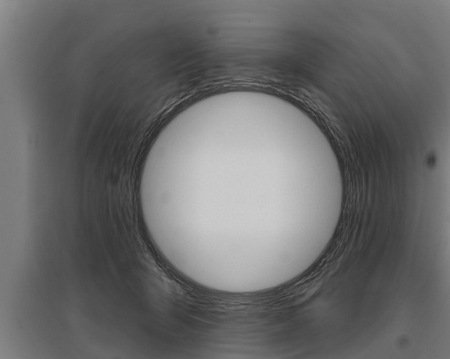 X0000096130415200801180833
