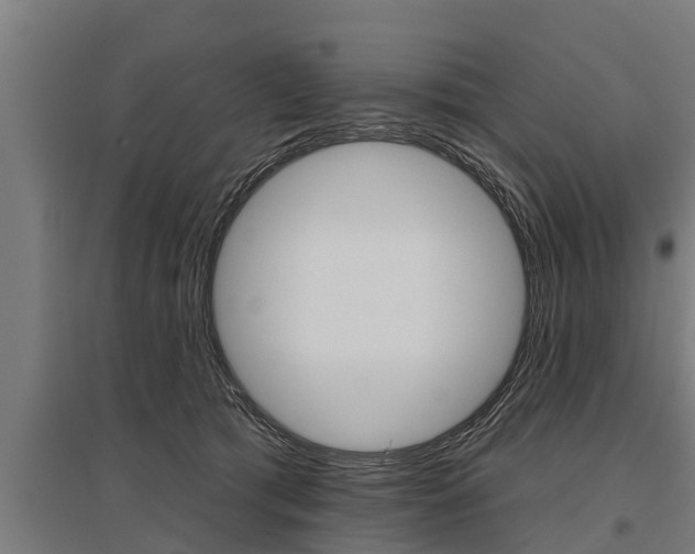 X0000096130417200801180833