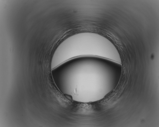 X0000096130421200801180833