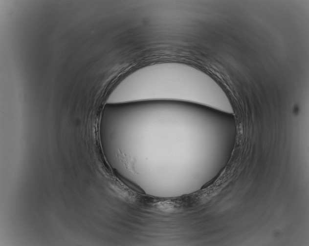 X0000096130423200801180833