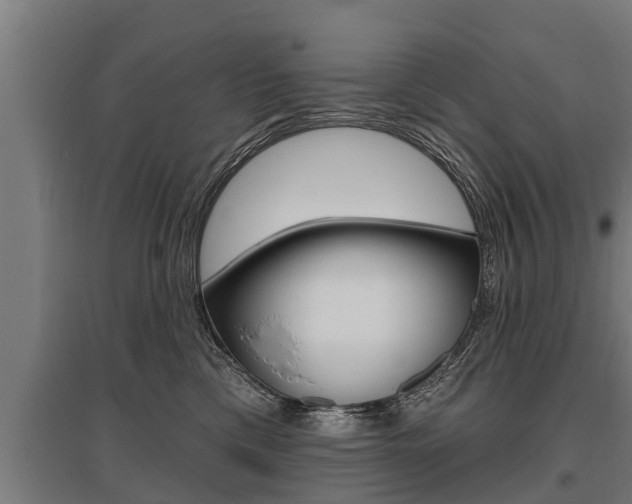 X0000096130425200801180833