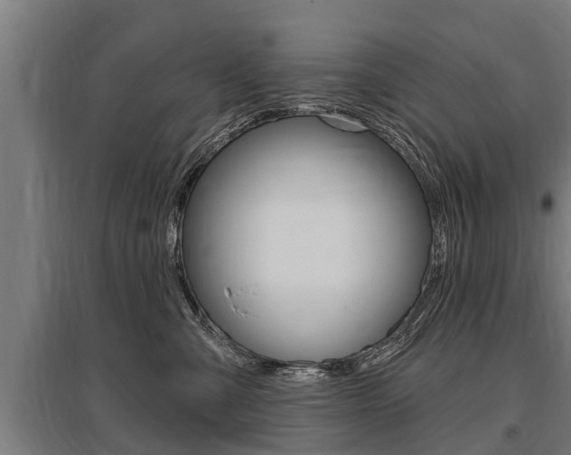 X0000096130427200801180833