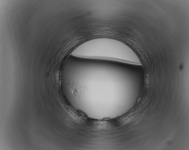 X0000096130428200801180833