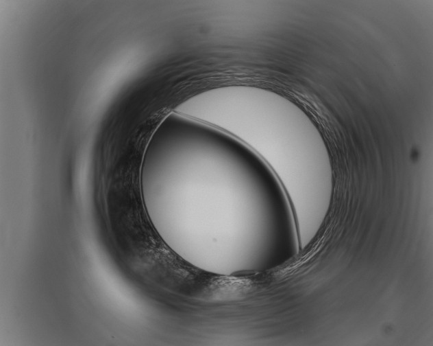 X0000096130429200801180833