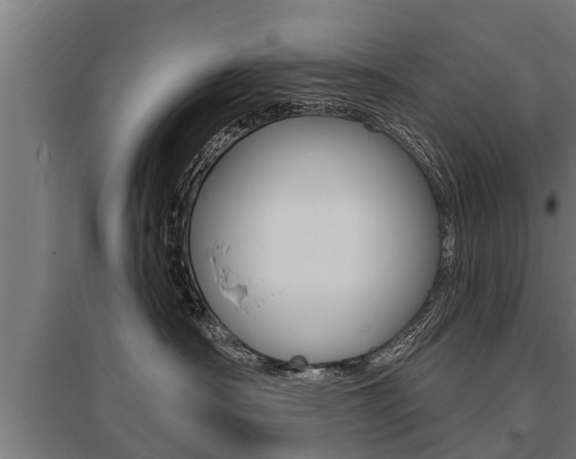 X0000096130430200801180833