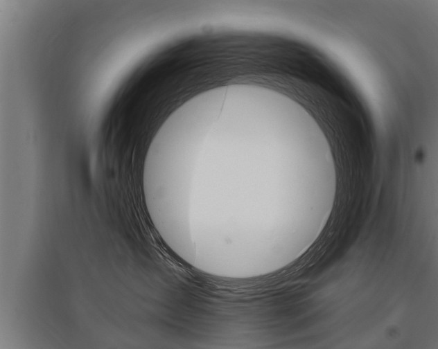 X0000096130431200801180833