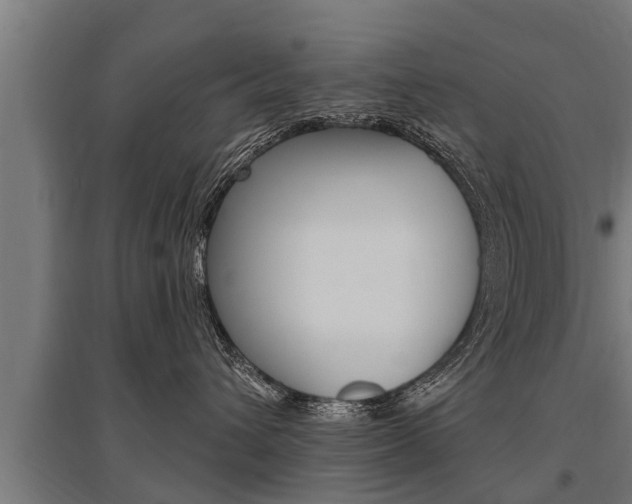 X0000096130432200801180833
