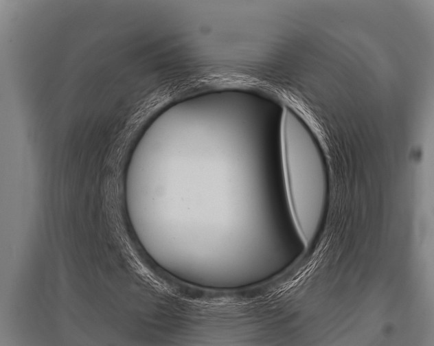 X0000096130433200801180833