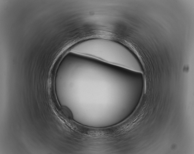 X0000096130435200801180833