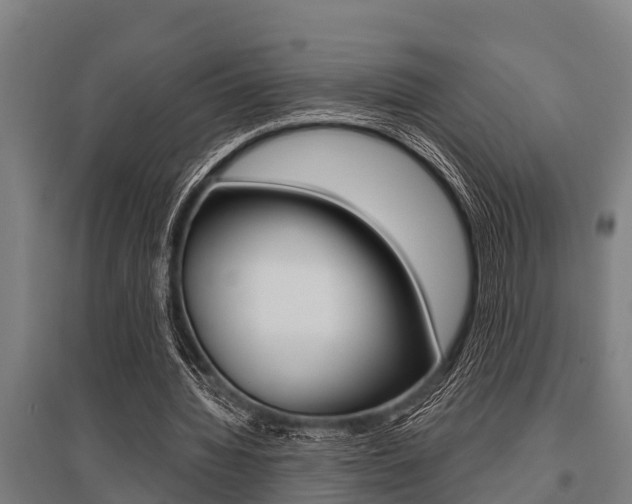 X0000096130436200801180833