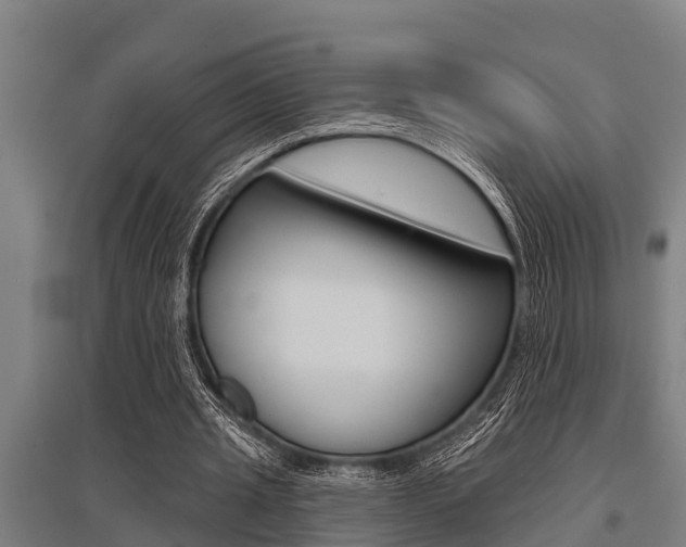 X0000096130437200801180833
