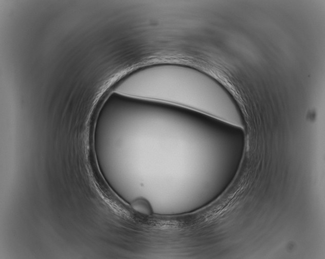 X0000096130438200801180833