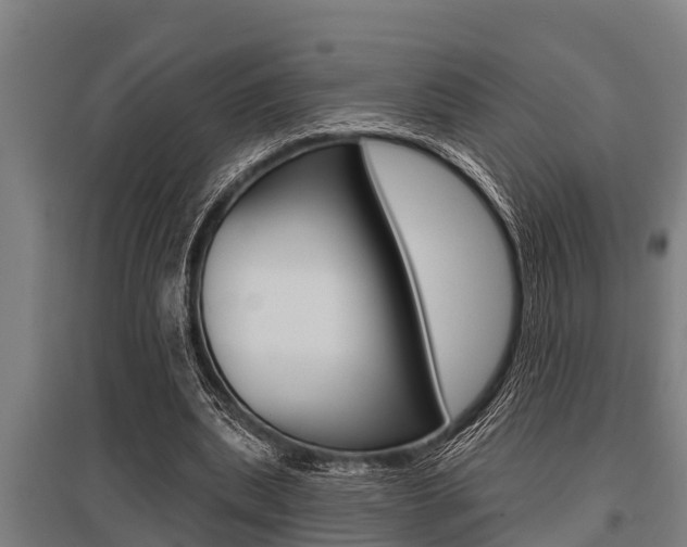 X0000096130439200801180833