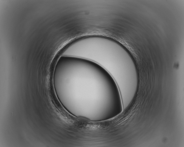 X0000096130440200801180833