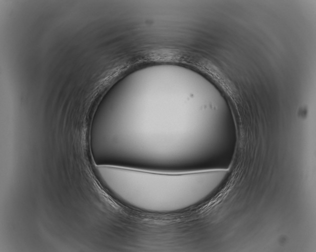 X0000096130441200801180833